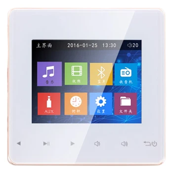 

Bluetooth Smart Control Music System Ceiling Speaker Modules Home Audio System Digital Stereo Amplifier in Wall for Hotel