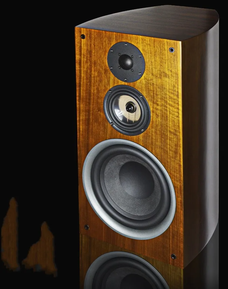 M-009 Hifi книжная полка 10 дюймов колонки Пара домашнего пола аудио 10 дюймов бас пассивный трехполосный