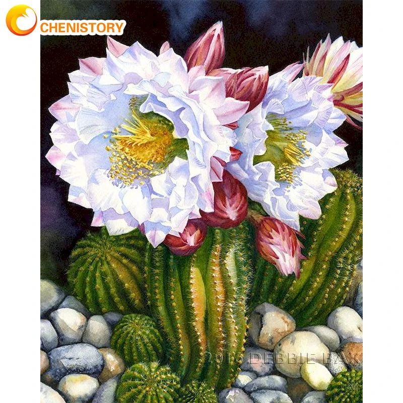 Chenistory 大人の数による絵画 サボテンの花の油絵 手作り 60x75cmフレーム アクリル画 家のアート写真 Aliexpress Home Garden