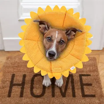 

Dogs Neck Collar Removable Soft Pet Elizabeth Sunflower Shape Neck Collar For Pet Dog Puppy Wearing Neck Collar For Pet Puppy