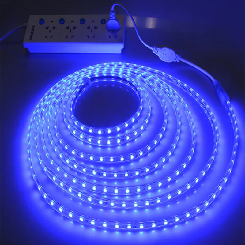 

220V Waterproof Flexible LED Light Tape LED Strip 5050 220V Lamp Outdoor String 1M 2M 3M 4M 5M 10M 12M 15M 20M 25M 60LEDs/M