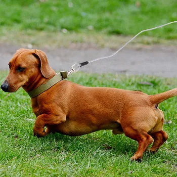 

1Pc Pulling Rope for Puppy Pet Hauling Cable Pet Pull Strap Dog Pulling Rope for Dog Kitten Puppy