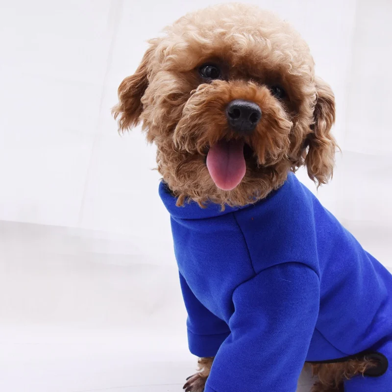 Осенне-зимняя одежда для домашних животных, теплый костюм-свитер с 4 леггинсами, милая одежда с кокосовым деревом, топы