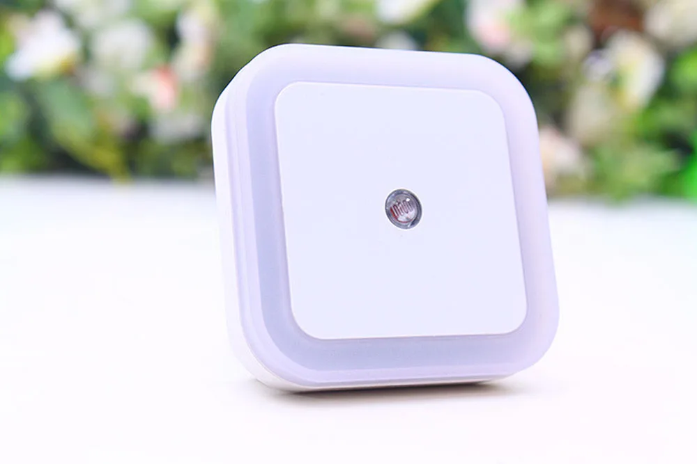 3182340847_1894273605