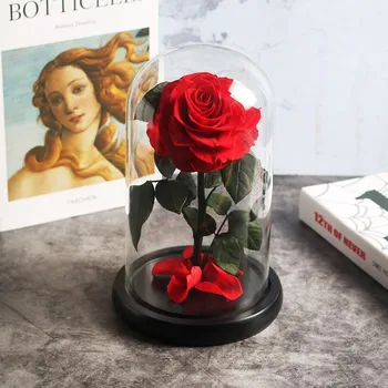 

Beauty And The Beast Red Rose In A Glass Dome On Rose Living Room Bedroom Table Decorations Valentines Day Gifts Birthday Gifts