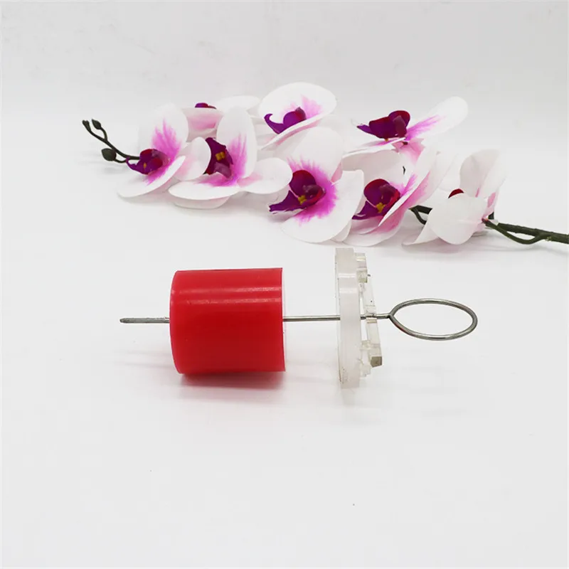 3848967831_1110263040