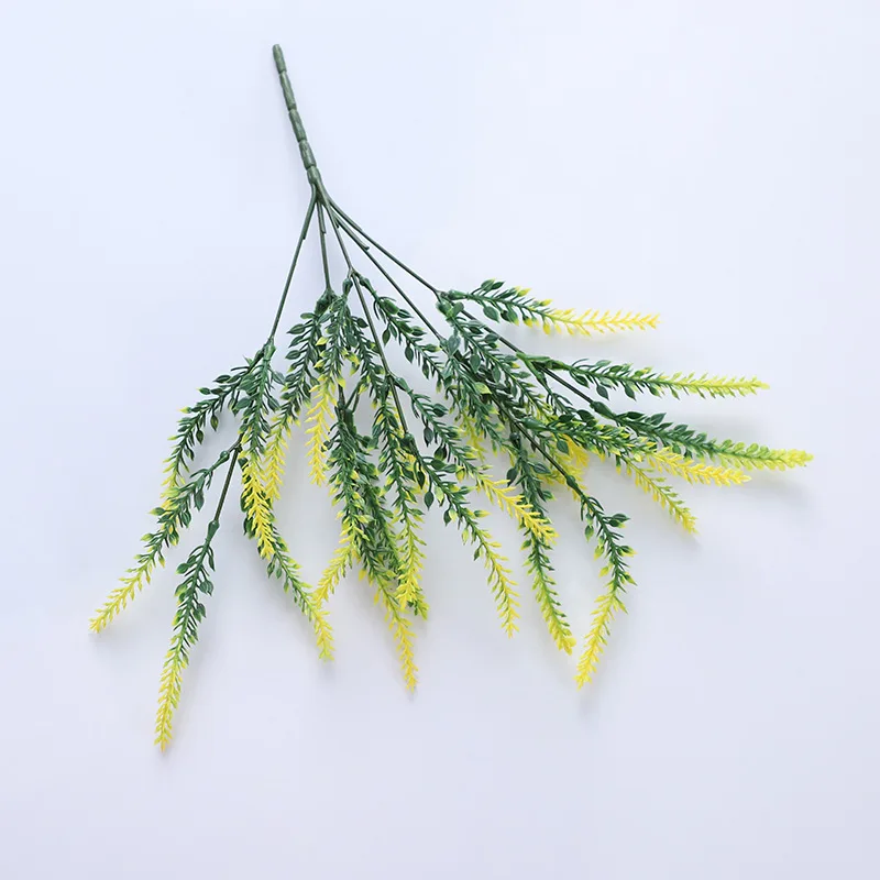 15921454636_1343200501