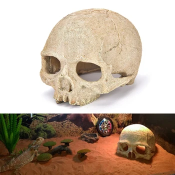 

Resin Skull Head Bone Skull Skeleton Statue for Lizards Terrarium Reptile Hide Cave Aquarium Fish Tank Landscape Decor Ornament