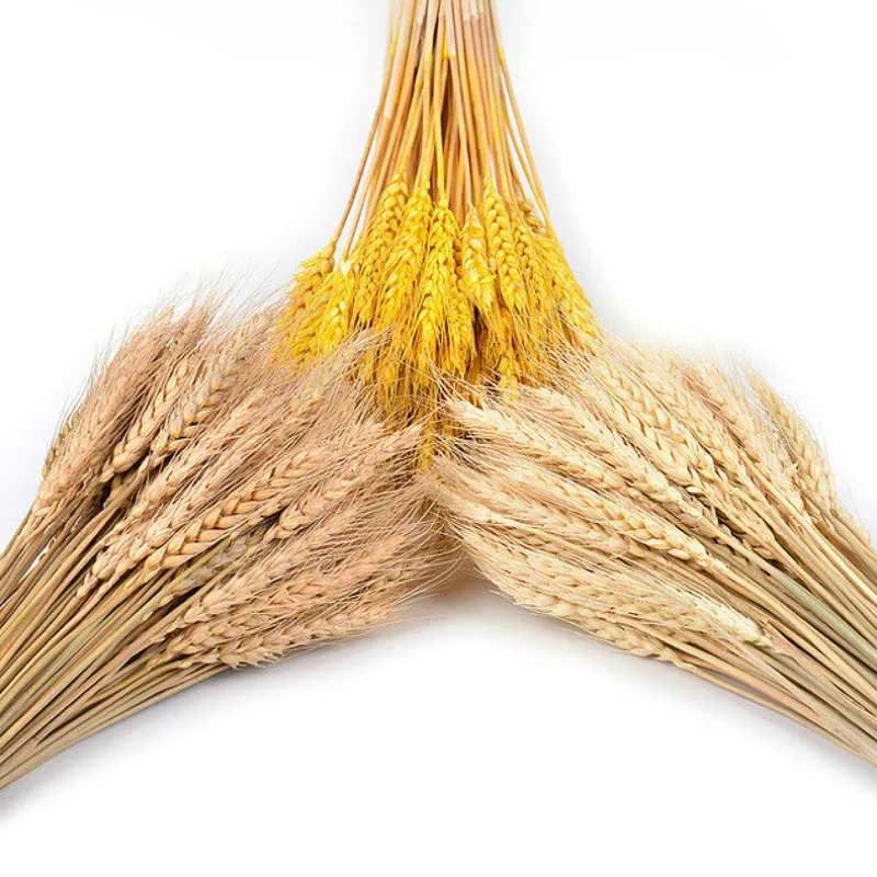 SUEF 50 шт. Flores Artificiales Para Decoracion Hogar Натуральные сушеные цветы цветок пшеницы осенние украшения поддельные цветы@ 9