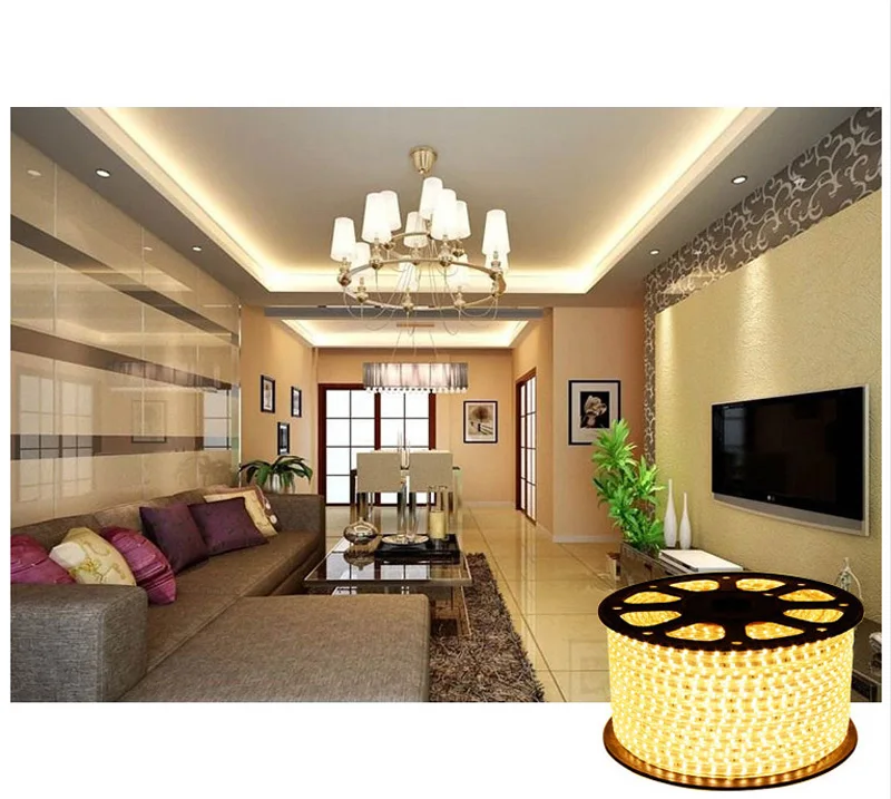 220V Waterproof Led strip light with EU Plug 2835 SMD flexible Rope Light,120 LedsM high brightness outdoor indoor decoration (1)