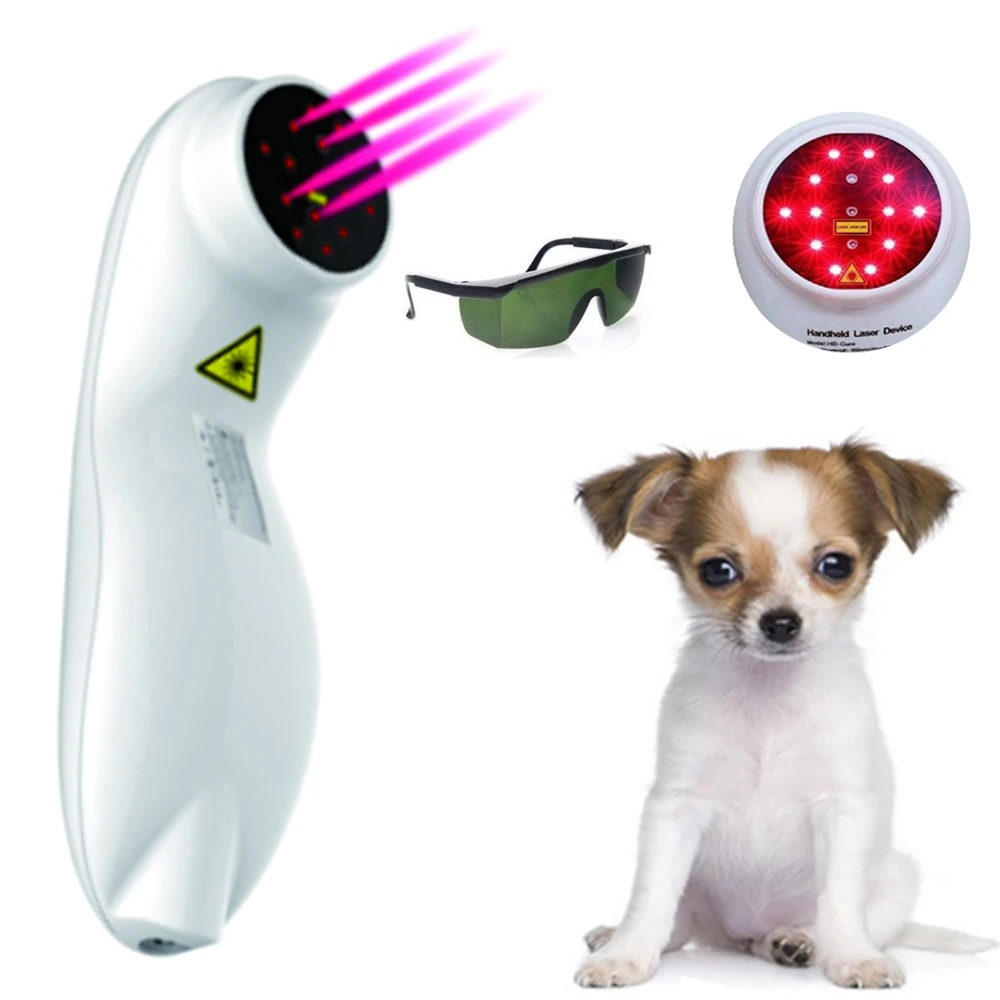 cold laser therapy for pets