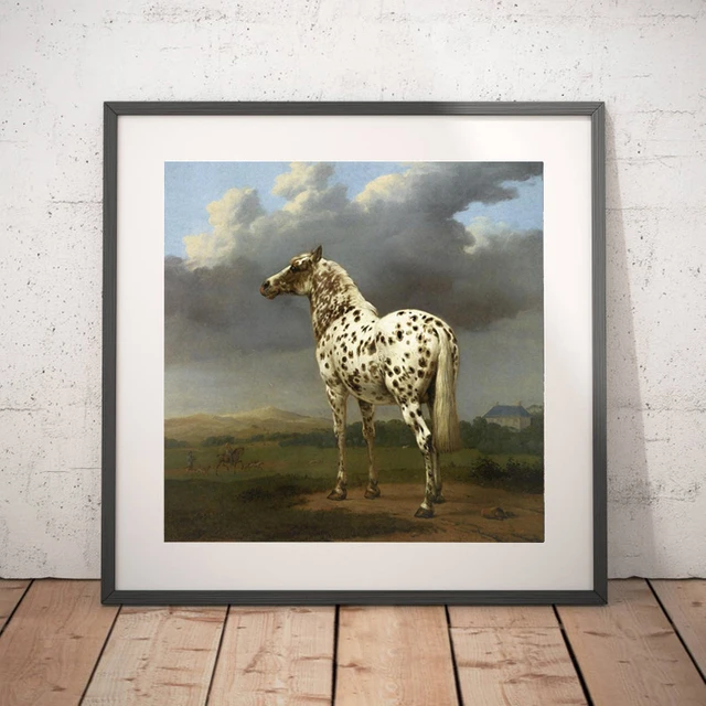 Appaloosa Horse Rearing | Art Board Print