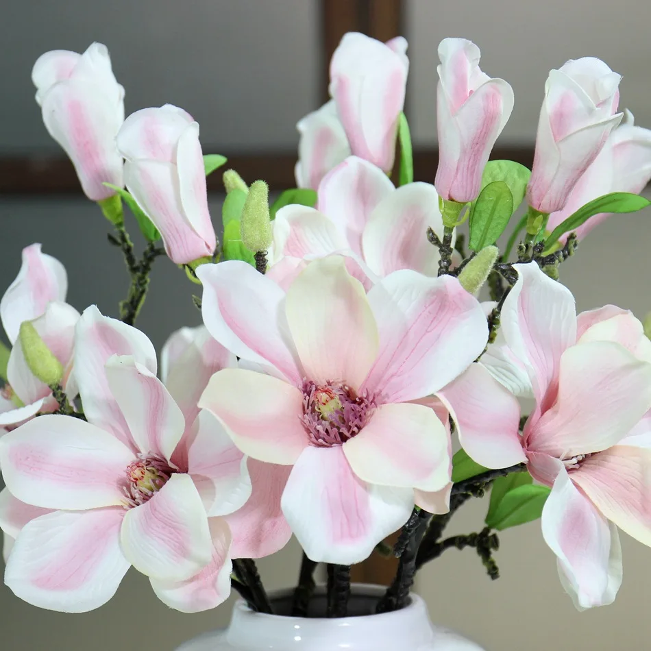 4935201099_1912732450