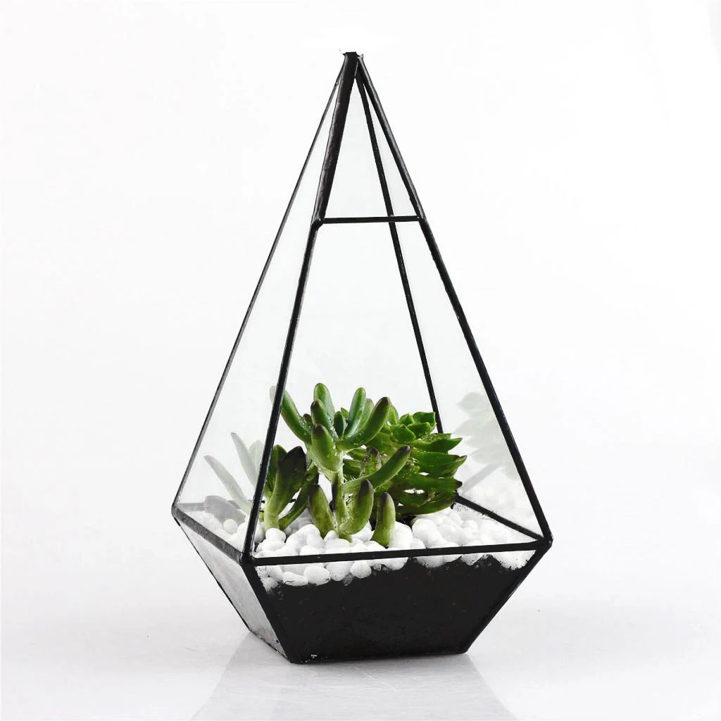 Pyramid Clear Glass Geometric Terrarium Box Succulent Planter Home Garden Art Holder Black 12 x 12 x 24cm
