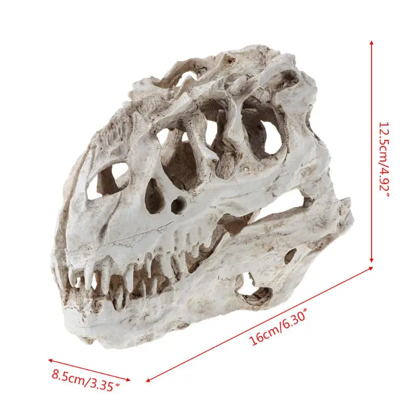 Tyrannosaurus Dinosaur Skull Resin Crafts Fossil Skeleton Teaching Model Halloween Home Office Decoration