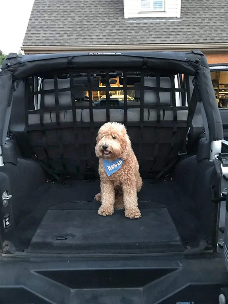 Top 90+ imagen dog gate for jeep wrangler Abzlocal.mx