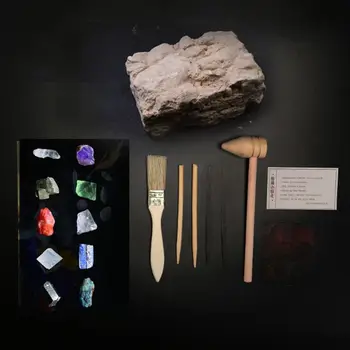 

10 Pcs Gemstone Excavate Kit Science Gift for Mineralogy and Geology Enthusiasts