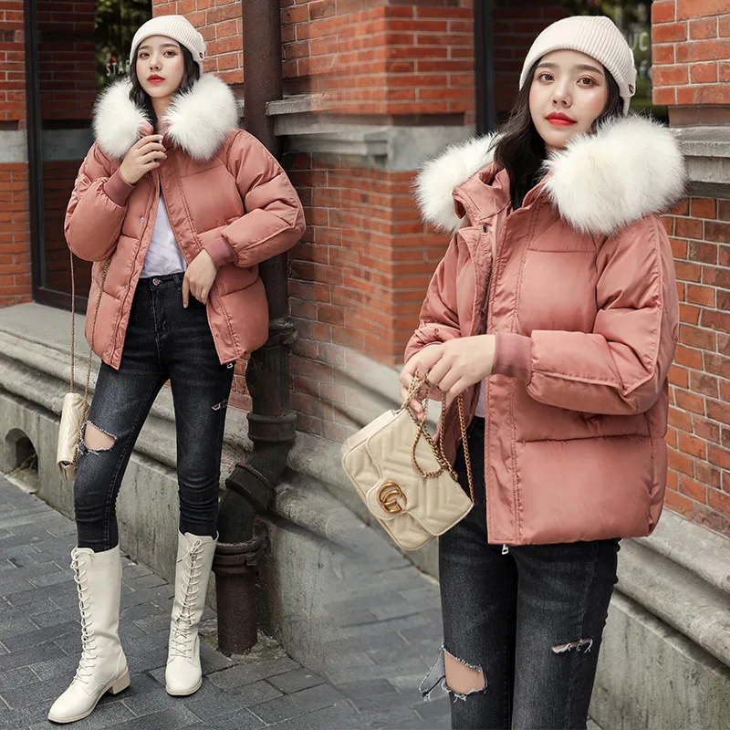 

Short Cotton Coat Women's 2019 New Style Korean-style Loose-Fit INS down Coat Thick down Feather Cotton-padded Clothes Winter Fu