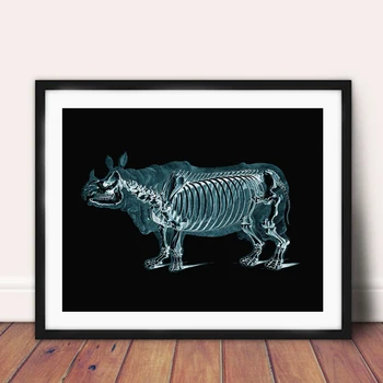 

Rhinoceros Xray Illustration Art Canvas Print Veterinarian Gift Anatomy Poster Medical Abstract Painting Office Wall Art Decor