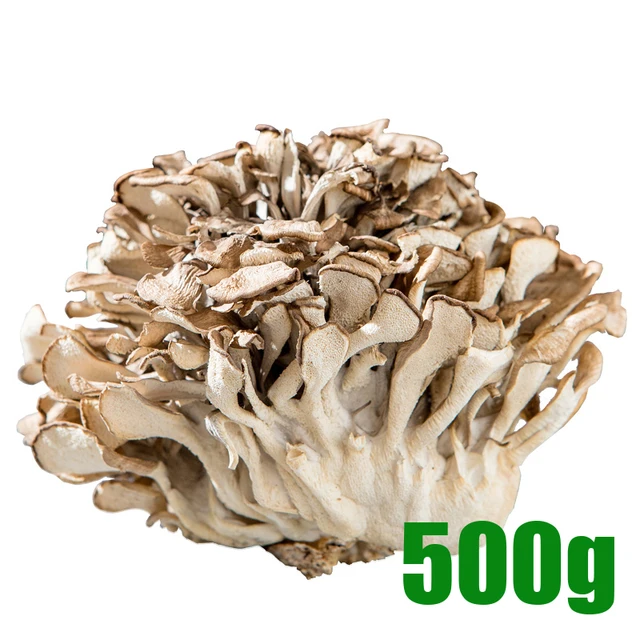 Dried Maitake Mushroom Chinese Grifola Frondosa Dancing Mushroom Dried Food