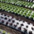 0.02 мм 5 Отверстий Черная Пленка Hi-Quality Vegetable Garden Plants Grow Films Protection Cover Теплица Перфорированная PE Мульчирующая пленка