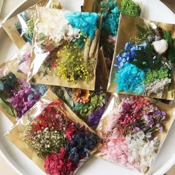 

Mix Dried Flowers for Resin Jewellery Dry Plants Pressed Flowers Making Craft DIY Accessories beauty makeup shoot