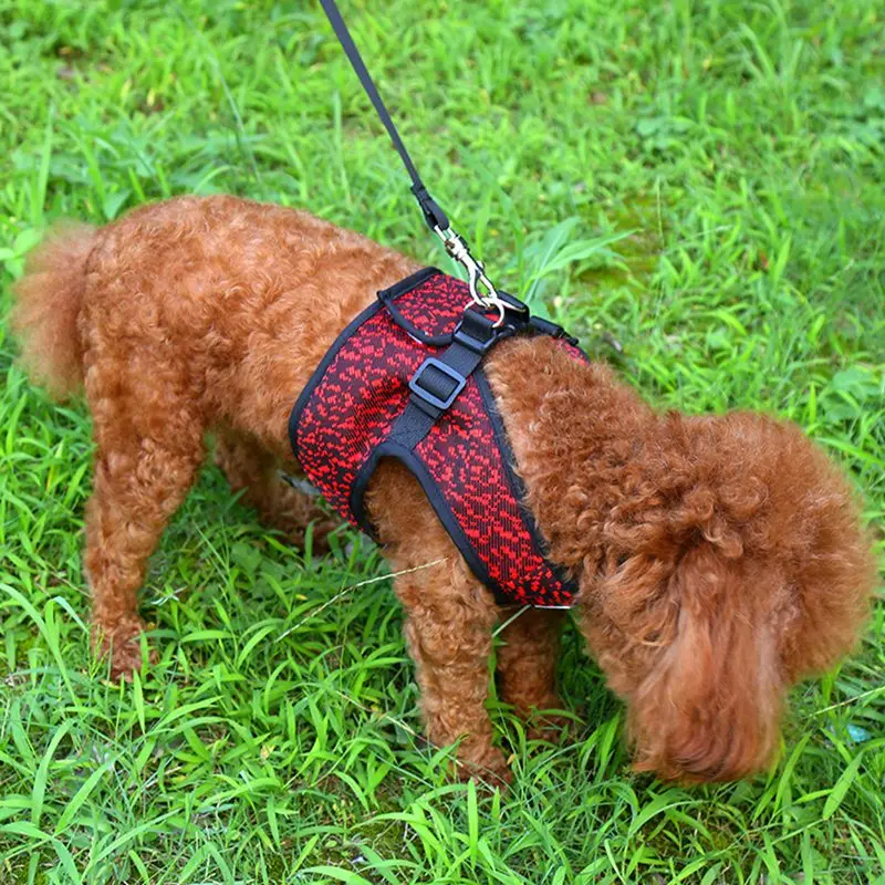 Pet Светоотражающий поводок для собак с элементами обеспечения безопасности маленькая собака ходьба с поводком кольцо, быстрый выпуск собаки жгут для дрессировки собак