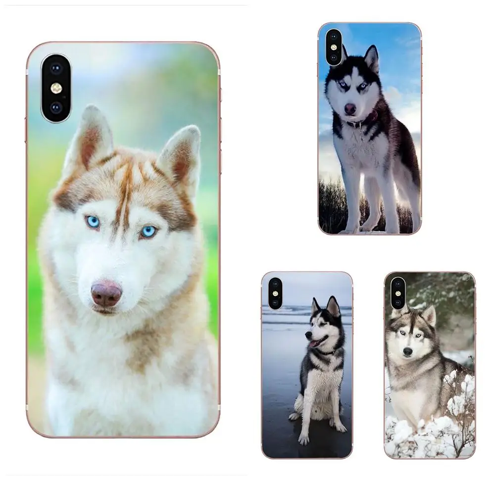 TPU силиконовый чехол с милой Сибирского Хаски для Huawei Honor 4C 5A 5C 5X6 6A 6X7 7A 7C 7X8 8C 8S 9 10 10i