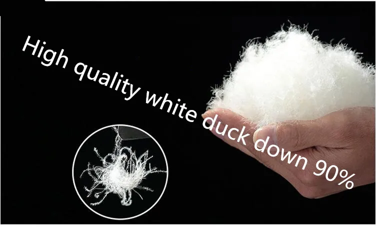 QQ截图20191011014119