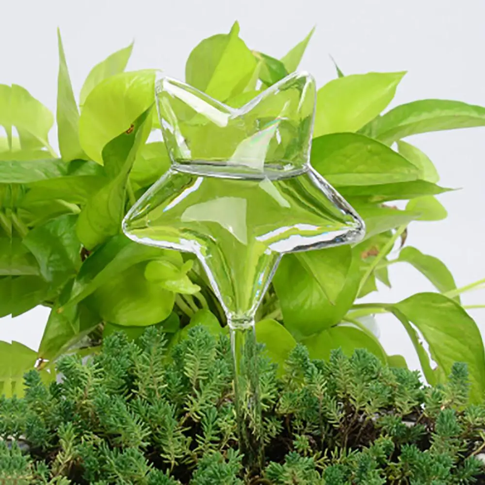 Автоматическое устройство для самостоятельного полива садовых растений 5 форм