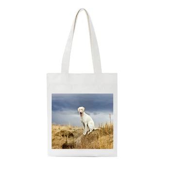 

SCCFMM Tote Canvas Harajuk HandBag Fashion WOMEN Bag Larger Capacity Shopper Bag Female Student Shoulder Schoolbag Shopping Bag