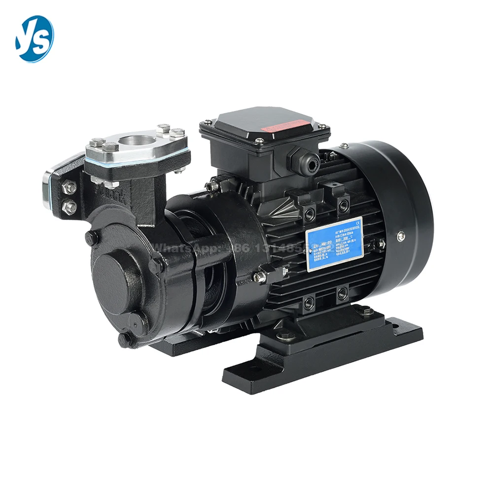 WM-20 Hot Water Circulating Pump Mold Temperature Machine Thermal Oil Pump  High Temperature Heat Conduction Water and Oil Pump