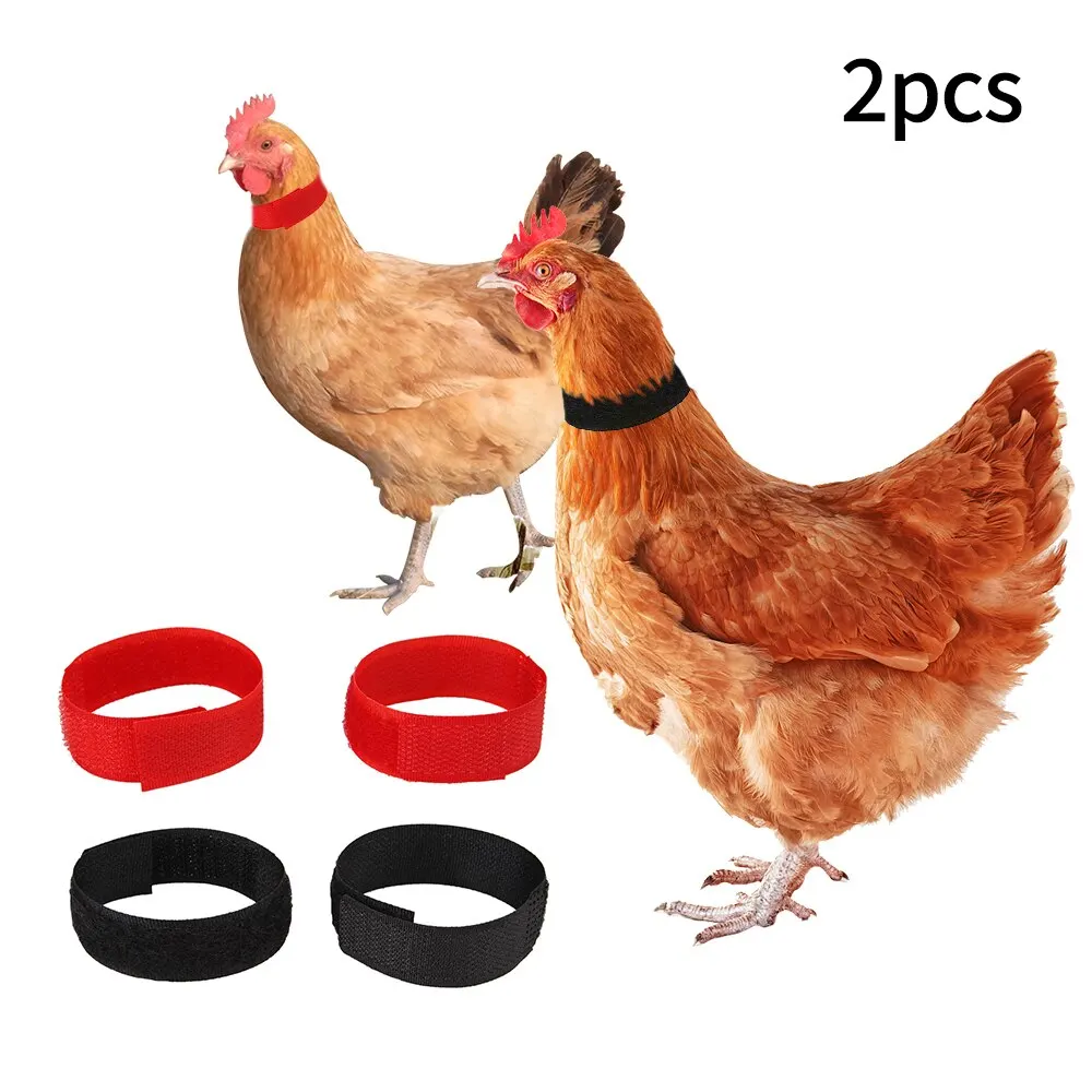 2pcs/set Safe Durable Chicken Collar Anti Hook Noise Free Neckband
