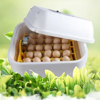 

36 Grids Mini Eggs Poultry Hatcher Fully Automatic Egg Incubator with Original US Plug White