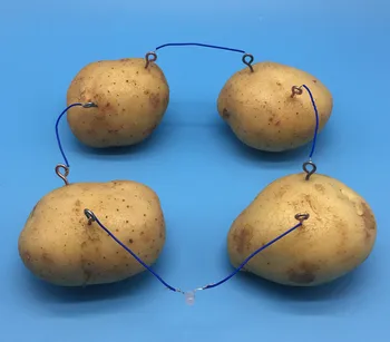 

Small production of small invention fruit battery assembly kit physics experiment DIY puzzle teaching kit