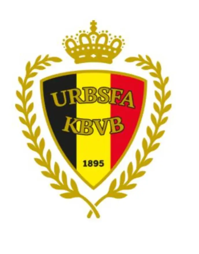 

All sides / round diamonds 5dDIY diamond painting Belgium football team logo embroidery cross stitch mark home decoration gifts