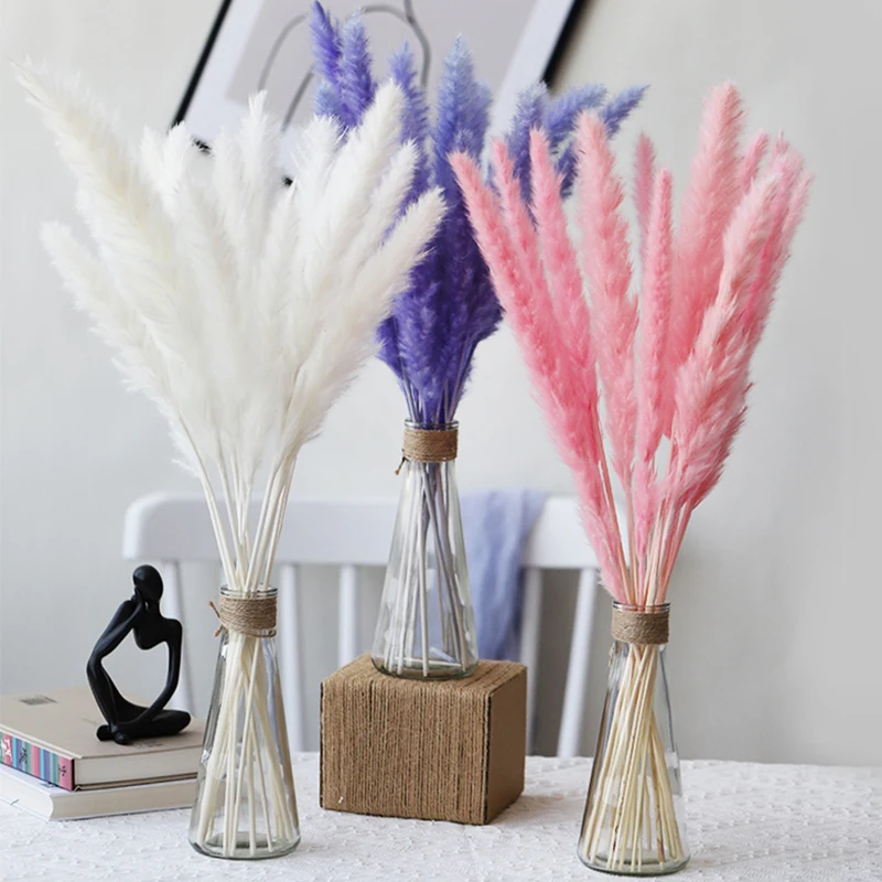 30pcs Small Pampas Grass Bulrush Natural Dried Phragmites Christmas Home Decor Diy Dried Real Flowers Bouquet Flower Arrangement
