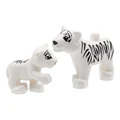 Two white Tigers