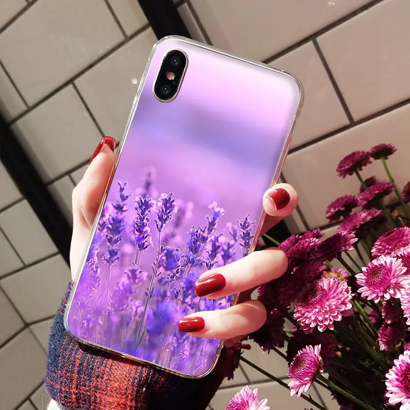 Simple lavender Purple flowers
