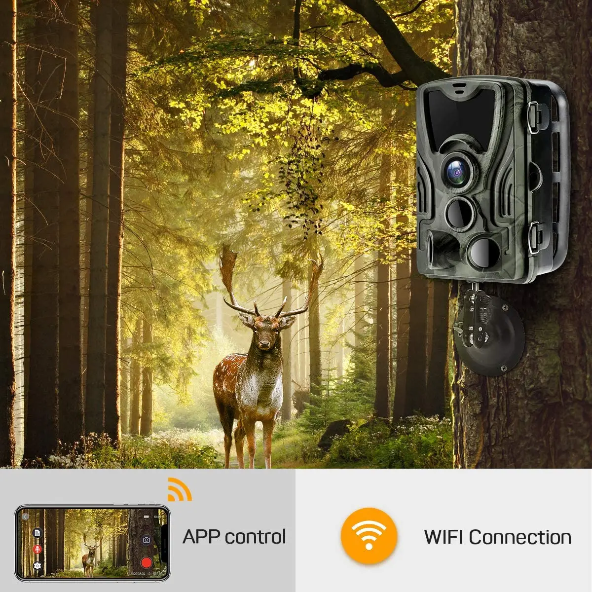 Hunting Trail Camera Trail Camera 4K Video Live Show Hunting Trail Camera 30MP WIFI801PRO APP Bluetooth Control Night Vision Photo Trap Cameras