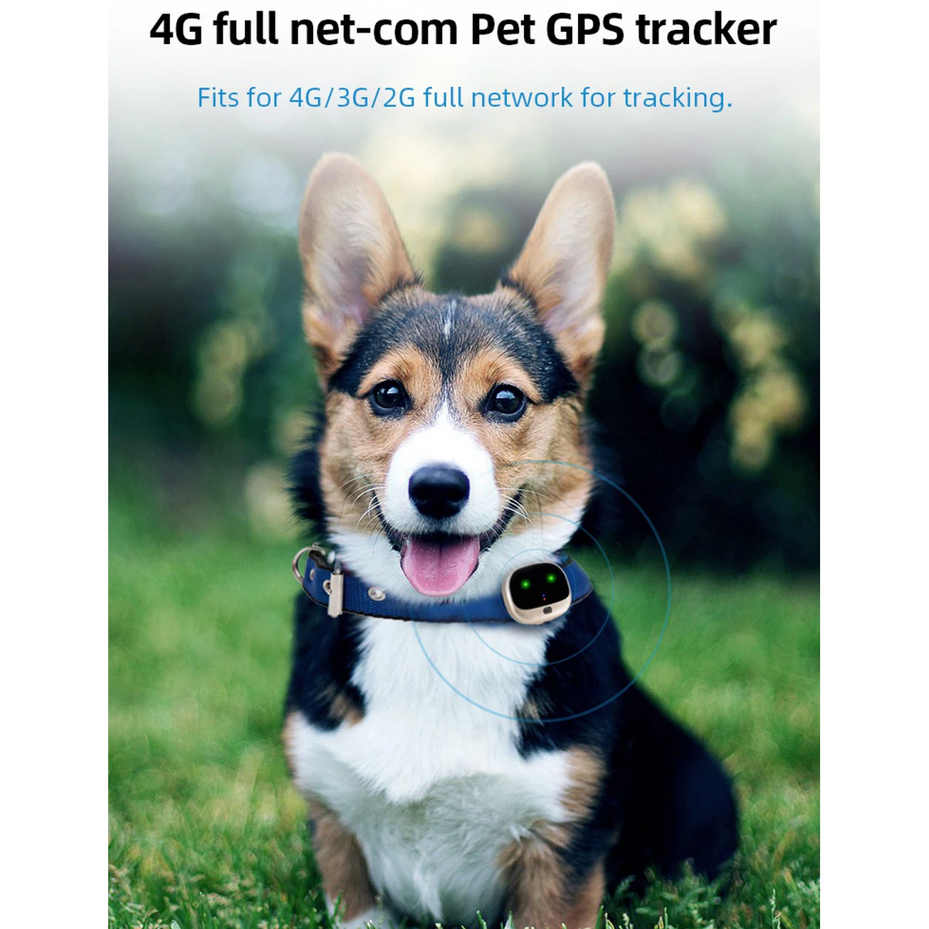 4g gps pet tracker small dog or cat geofence with free app € 81,23