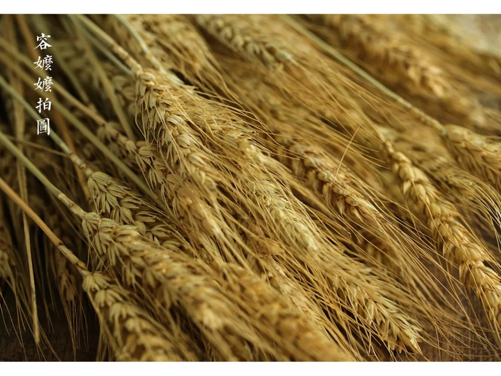 TB24sSacp_.F1JjSZFjXXahnXXa_!!1917429240