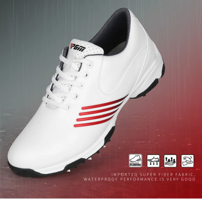 O1CN010AnDRK2GwgrVcn17j_!!8028