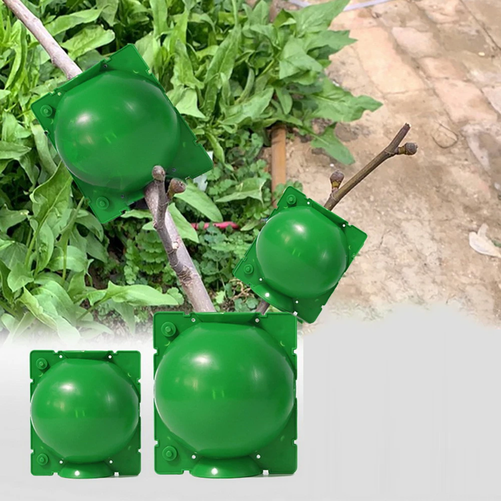 10x Plant Rooting Ball Equipment Grafting Rooting Growing Box High Pressure Propagation Ball Garden Graft Box