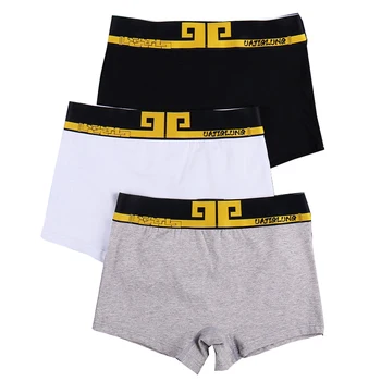 

HaleyChan Sports Stripe Cotton Briefs 3 Pack Boxer Briefs for Tomboy Trans Lesbian Transgender Ftm Underwear Panties Women