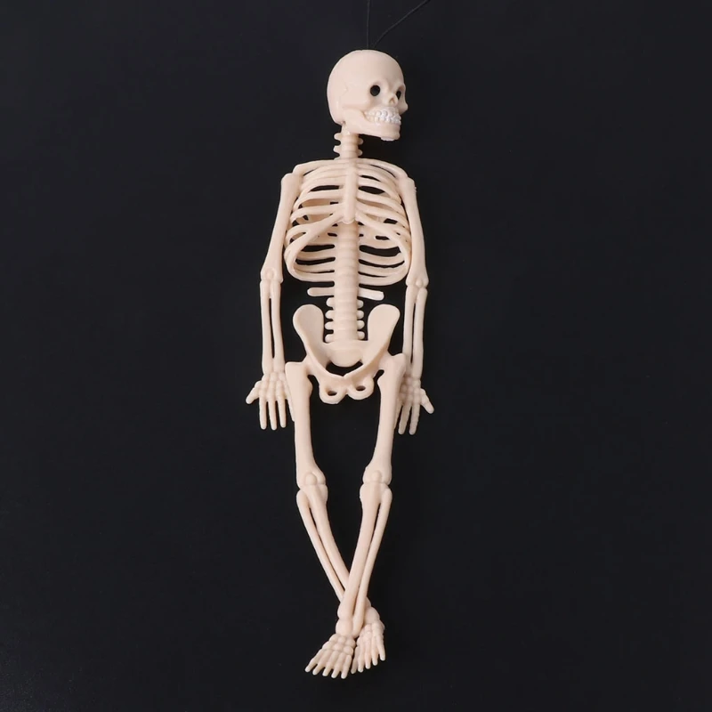 

Skeleton Human Model Skull Full Body Mini Figure Toy Phone Hanger Halloween