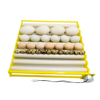 

Roller Turn The Eggs With Motor Excellent Quality Roller Egg Tray Duck Quail Bird Poultry Eggs Tray Farm Incubation Supplies