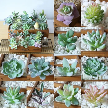 

12PCS Artificial Succulent Flocked Plant Fake Cactus Lotus Unpotted Garden Decor Simulation Bonsai Desktop Plant