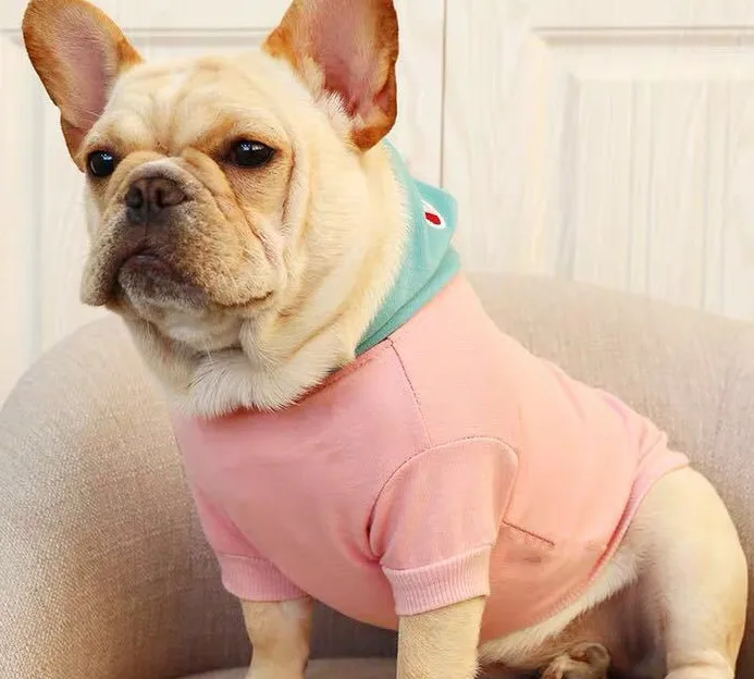 Prix Mode chien chiot sweat à capuche chat style classique avec chapeau chapeau rose avec bleu