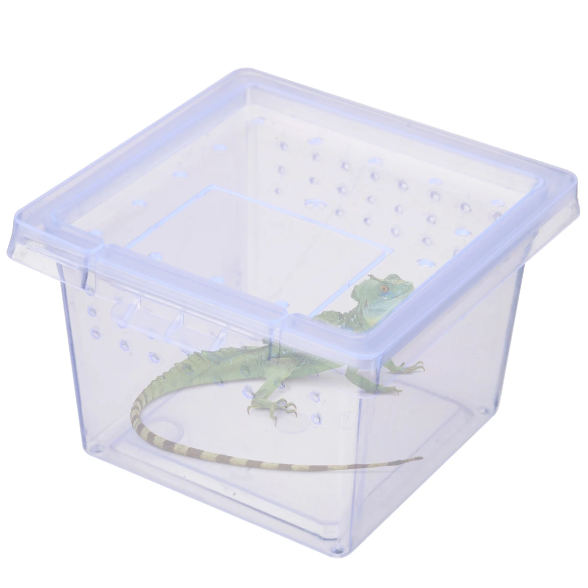 Clear Plastic Insect Reptile Box Spider Snake Transport Breeding Feeding Case